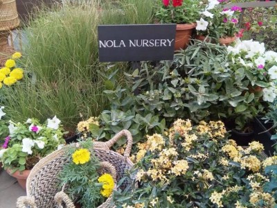 NOLA (Garden, Secret Garden & Nursery)